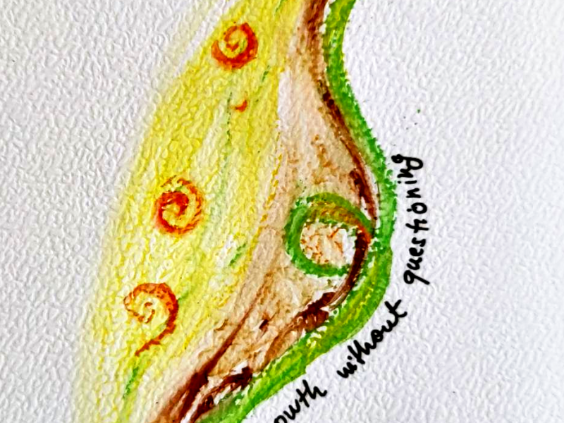Draw your feelings journey – week&nbsp;40